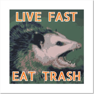 Possum: Live Fast, Eat Trash Posters and Art